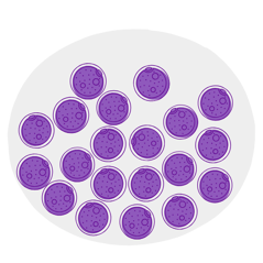 Illustration of 20 healthy eggs representing the typical number and quality of eggs at age 30.