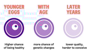 An illustration showing how female egg quality slowly declines with age, making it harder to conceive the older you get.