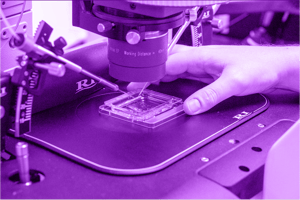 Egg freezing process happening in the embryology lab